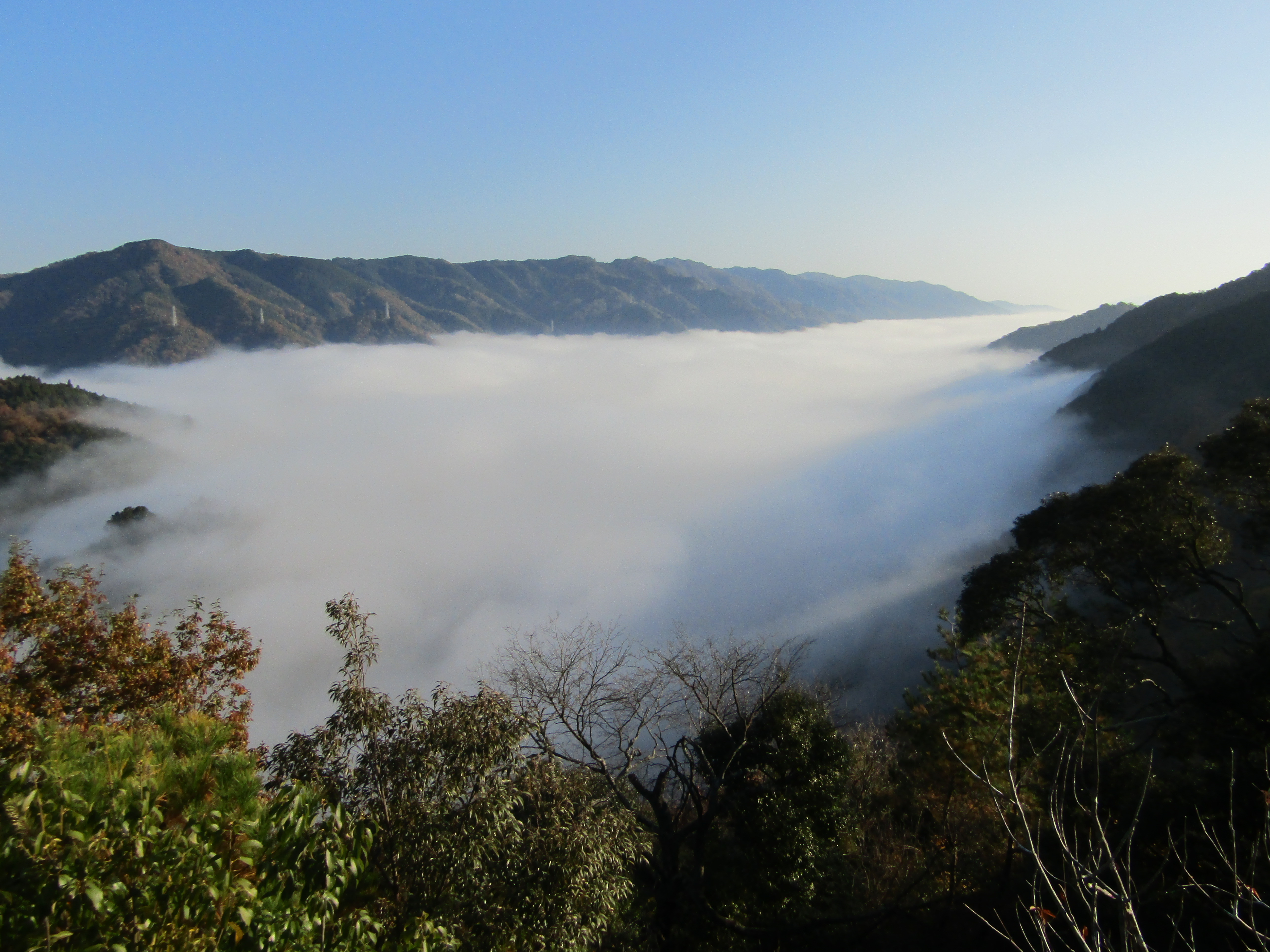 笠置山から見る雲海